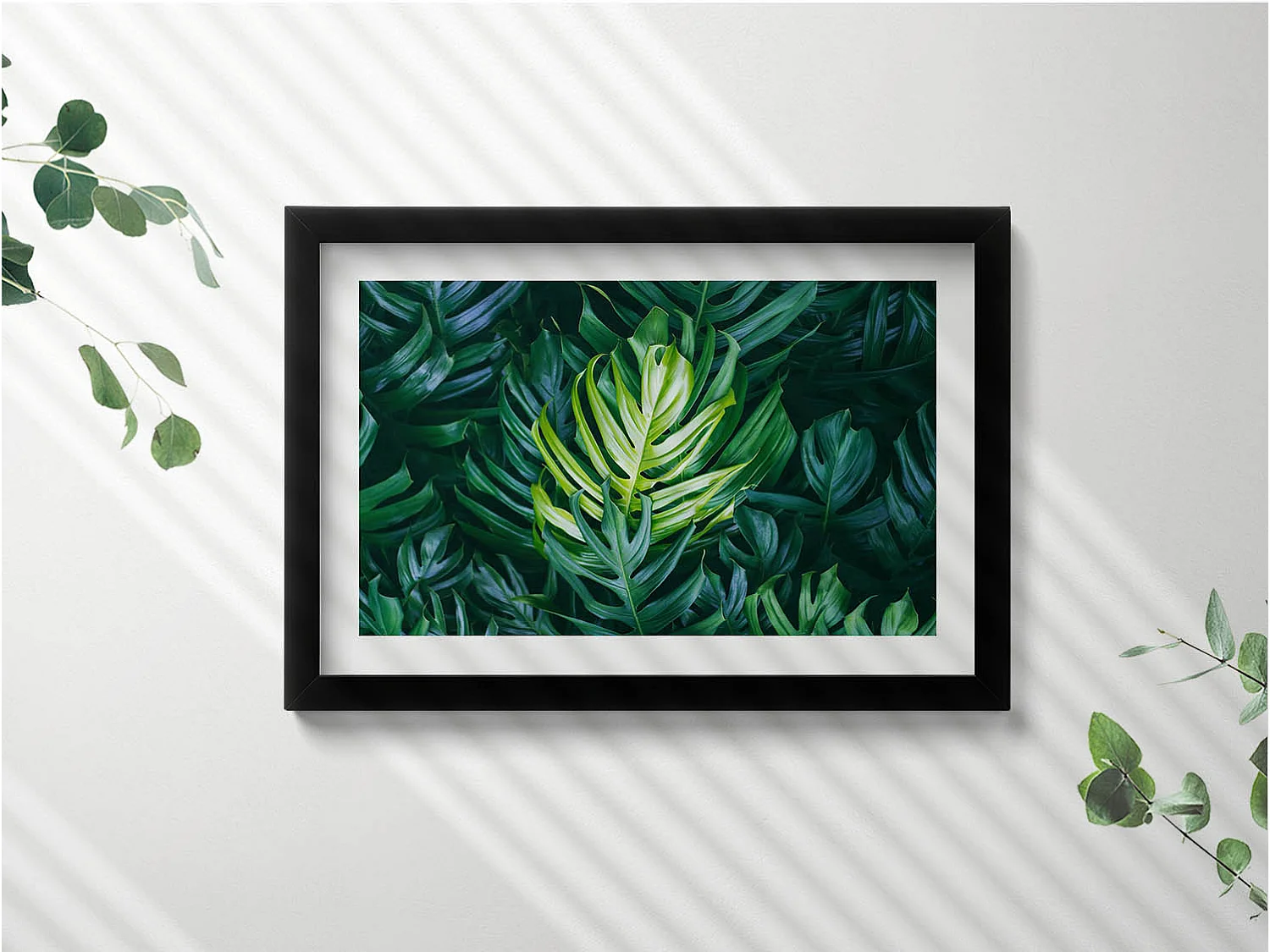 Decoratief schilderij met zwarte lijst, Tropische natuur - monsterabladeren 30 x 20 cm - Perfect voor de woon- of slaapkamer