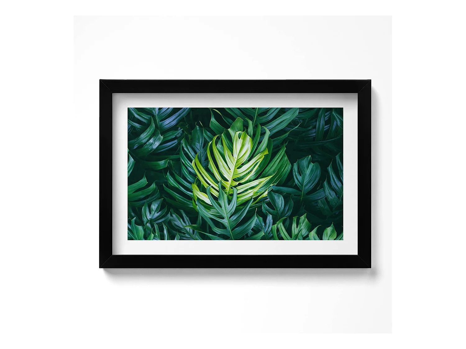Tableau décoratif avec cadre noir, Nature tropicale - feuilles de monstera 30 x 20 cm – Parfait pour le salon ou la chambre