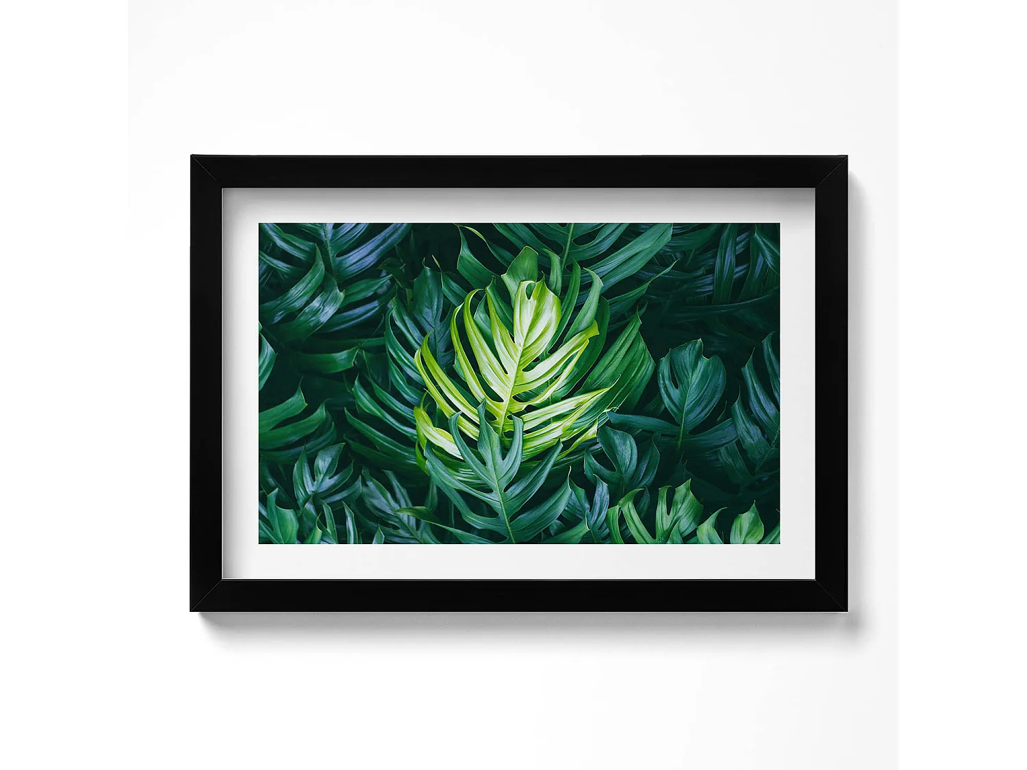 Tableau décoratif avec cadre noir, Nature tropicale - feuilles de monstera 30 x 20 cm – Parfait pour le salon ou la chambre