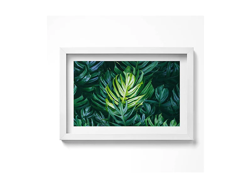 Dekoratives Gemälde mit weißem Rahmen, Tropische Natur – Monstera-Blätter 30 x 20 cm – Perfekt für das Wohn- oder Schlafzimmer