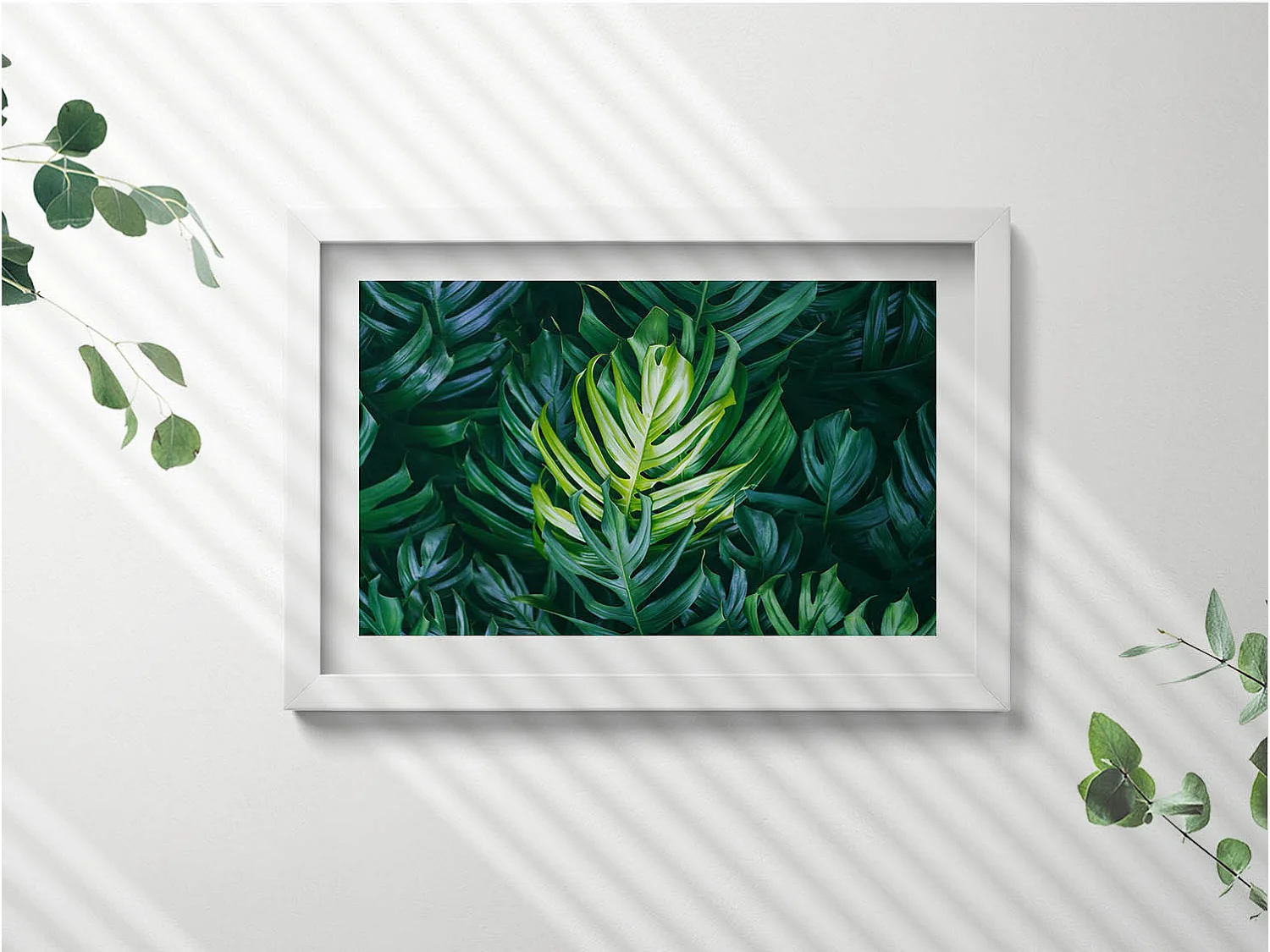 Tableau décoratif avec cadre blanc, Nature tropicale - feuilles de monstera 30 x 20 cm – Parfait pour le salon ou la chambre