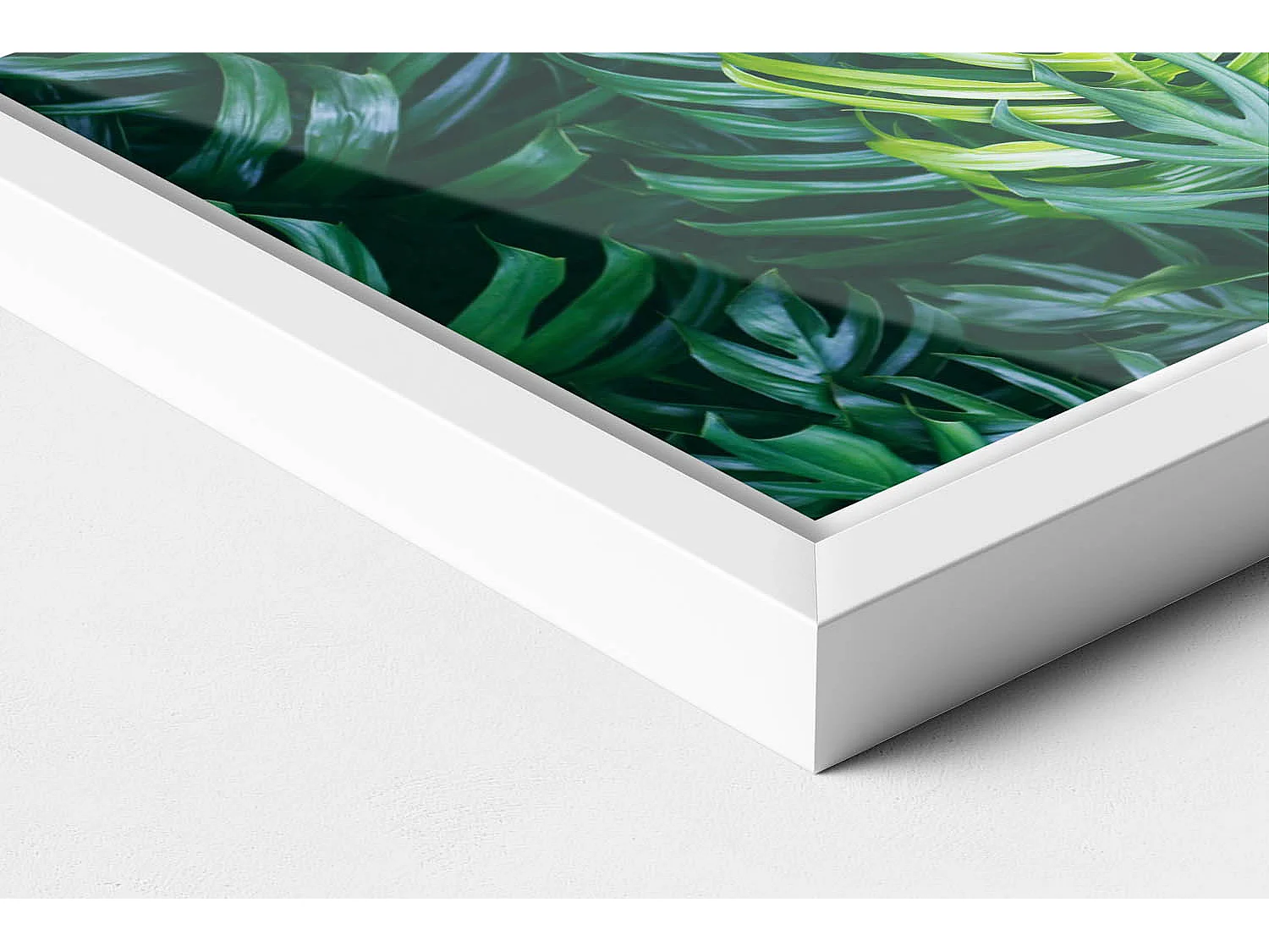 Tableau décoratif avec cadre blanc, Nature tropicale - feuilles de monstera 30 x 20 cm – Parfait pour le salon ou la chambre