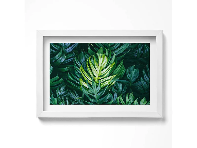 Dekoratives Gemälde mit weißem Rahmen, Tropische Natur – Monstera-Blätter 30 x 20 cm – Perfekt für das Wohn- oder Schlafzimmer