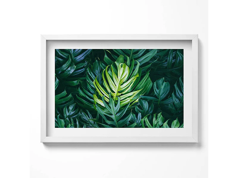 Tableau décoratif avec cadre blanc, Nature tropicale - feuilles de monstera 60 x 40 cm– Parfait pour le salon ou la chambre