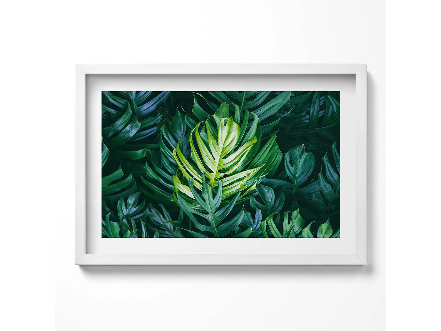 Dekoratives Gemälde mit weißem Rahmen, Tropische Natur – Monstera-Blätter 60 x 40 cm – Perfekt für das Wohn- oder Schlafzimmer