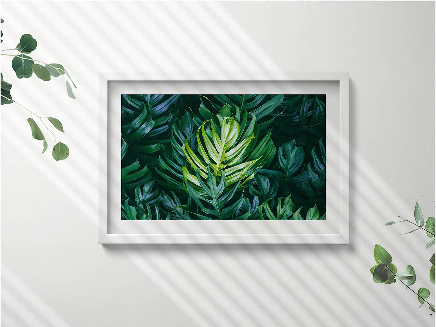 Tableau décoratif avec cadre blanc, Nature tropicale - feuilles de monstera 60 x 40 cm– Parfait pour le salon ou la chambre