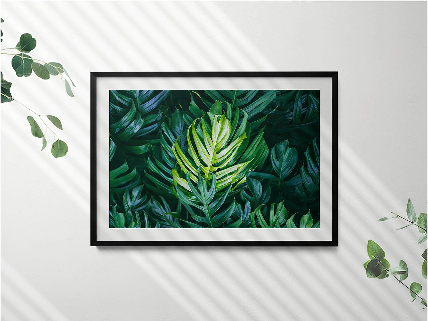 Dekoratives Gemälde mit schwarzem Rahmen, Tropische Natur – Monstera-Blätter 100 x 70 cm – Perfekt für das Wohn- oder Schlafzimmer