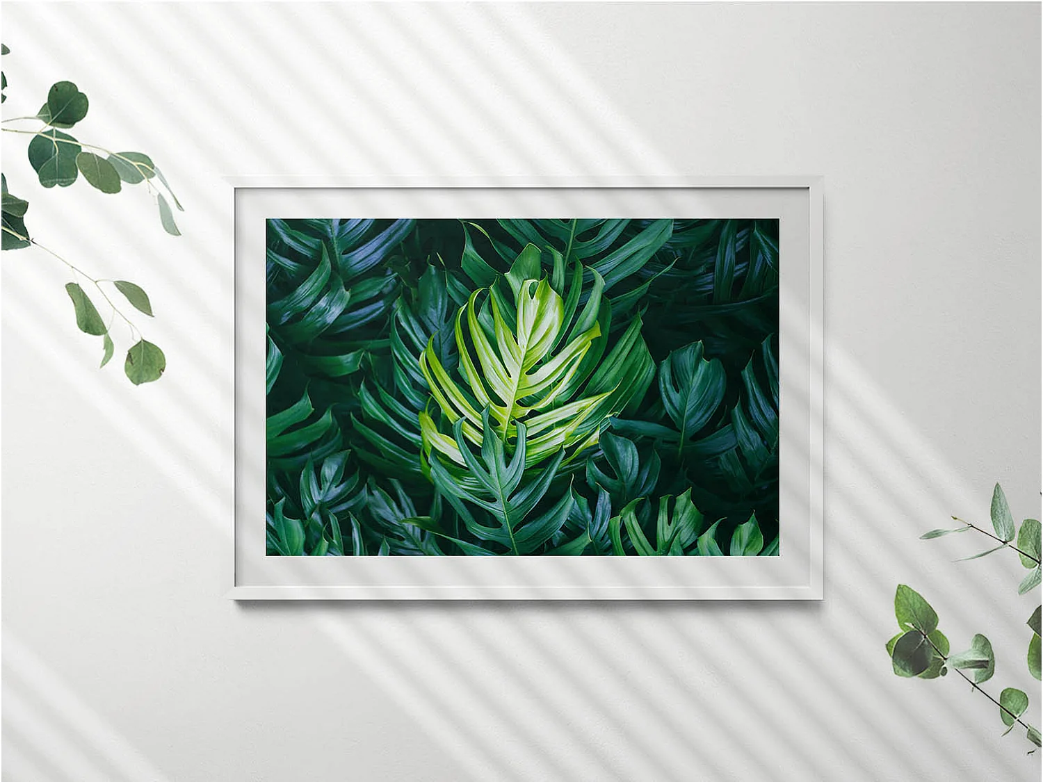 Dekoratives Gemälde mit weißem Rahmen, Tropische Natur – Monstera-Blätter 100 x 70 cm – Perfekt für das Wohn- oder Schlafzimmer