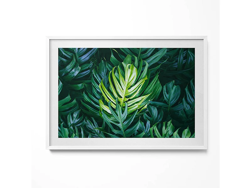 Dekoratives Gemälde mit weißem Rahmen, Tropische Natur – Monstera-Blätter 100 x 70 cm – Perfekt für das Wohn- oder Schlafzimmer
