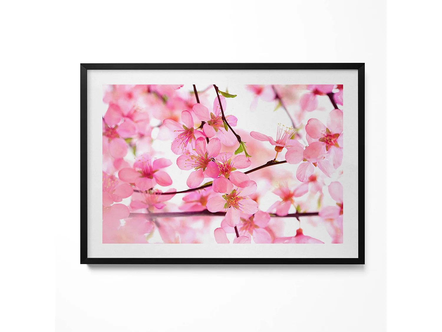 Dekoratives Gemälde mit schwarzem Rahmen, Rosa Frühlingsblumen auf den Zweigen 100 x 70 cm – Perfekt für das Wohn- oder Schlafzimmer