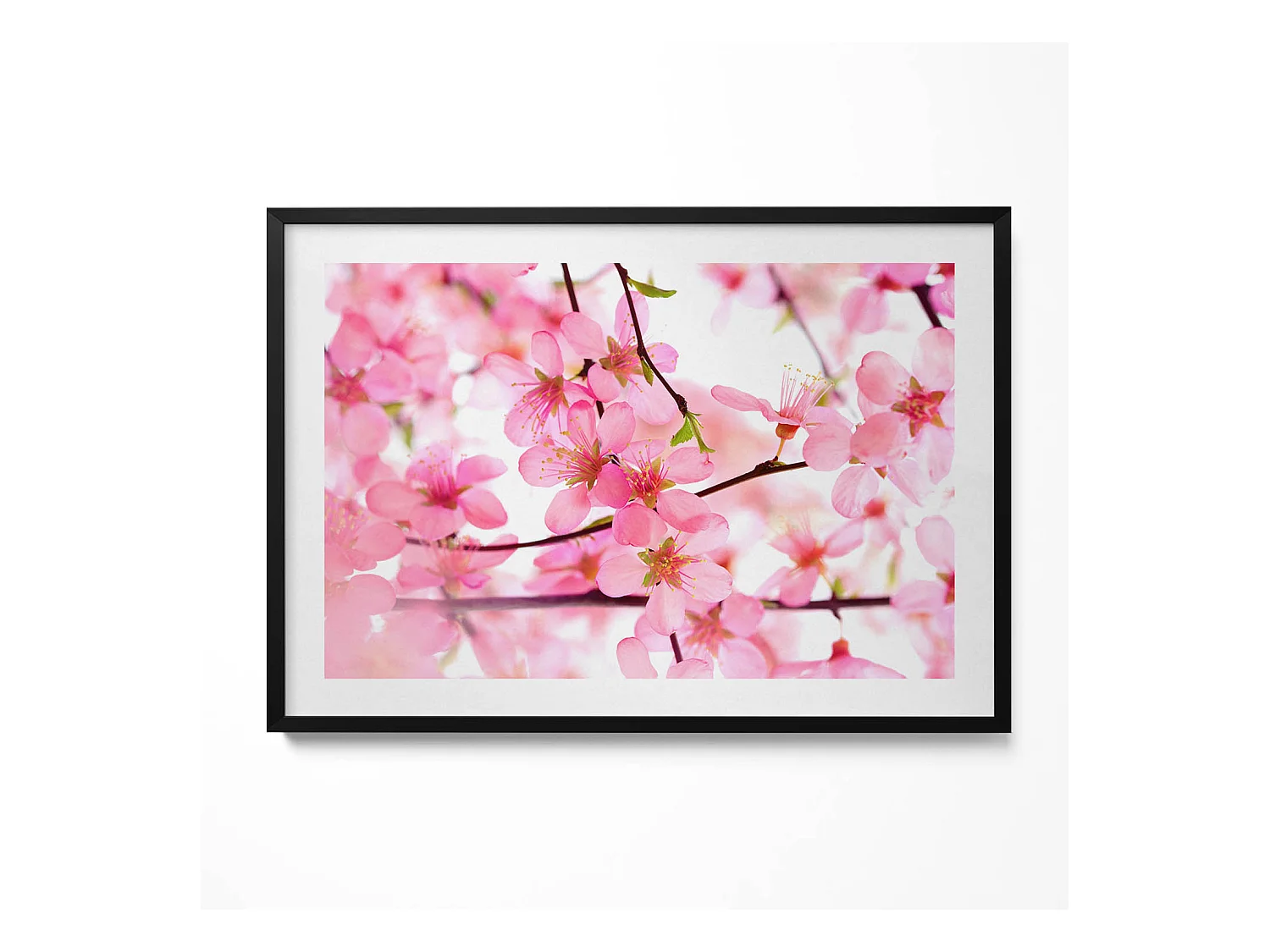 Tableau décoratif avec cadre noir, Fleurs printanières roses sur les branches 100 x 70 cm– Parfait pour le salon ou la chambre
