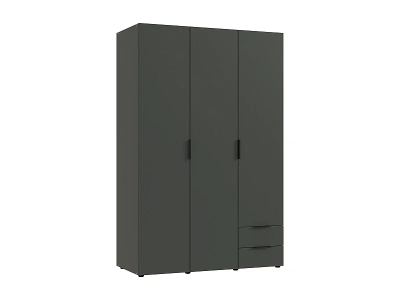 Armoire, placard garde-robe coloris graphite - Longueur 120 x Hauteur 185 x Profondeur 54 cm 