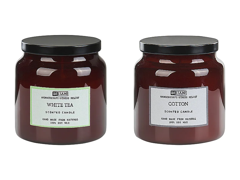 Set van 2 geurkaarsen ABSOLUTE ALCHEMY Soja wax Frisse geurnoten