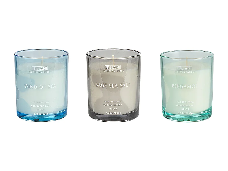 Set van 3 geurkaarsen SHEER JOY Soja wax Frisse geurnoten