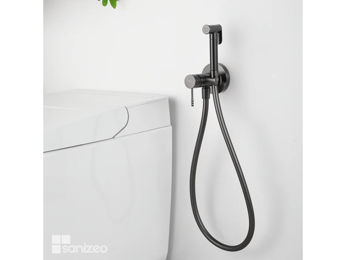 Kit Hygiène Douchette de WC / Bidet Encastré Black Gun Métal IMEX GENOVA RDG053/BGM