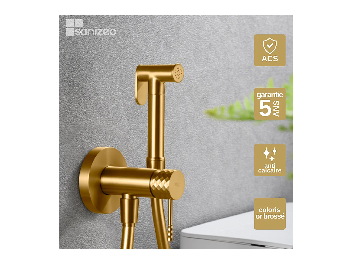 Kit Hygiène Douchette de WC / Bidet Encastré Or Brossé IMEX GENOVA RDG053/OC