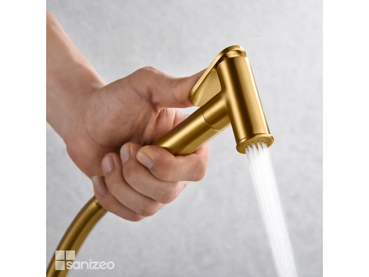 Kit Hygiène Douchette de WC / Bidet Encastré Or Brossé IMEX GENOVA RDG053/OC