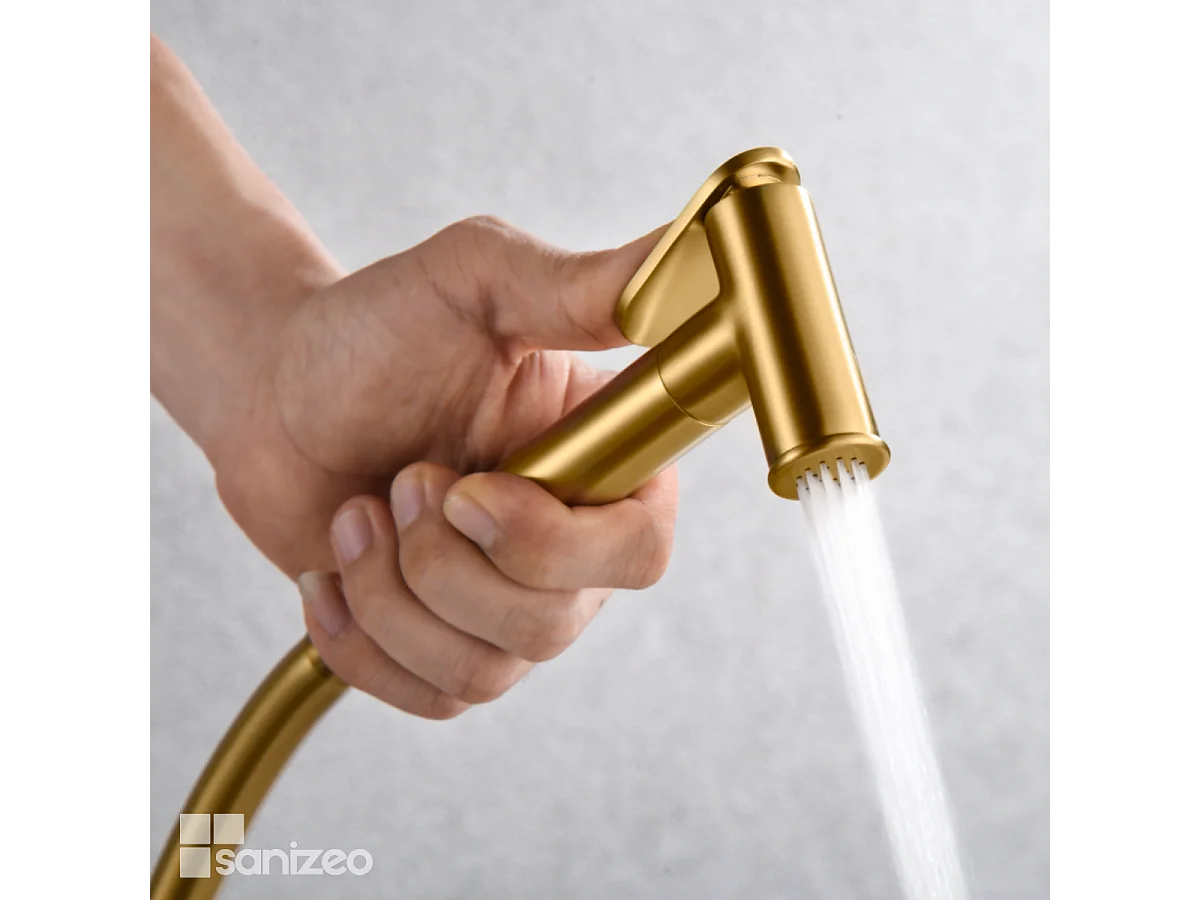 Kit Hygiène Douchette de WC / Bidet Encastré Or Brossé IMEX GENOVA RDG053/OC