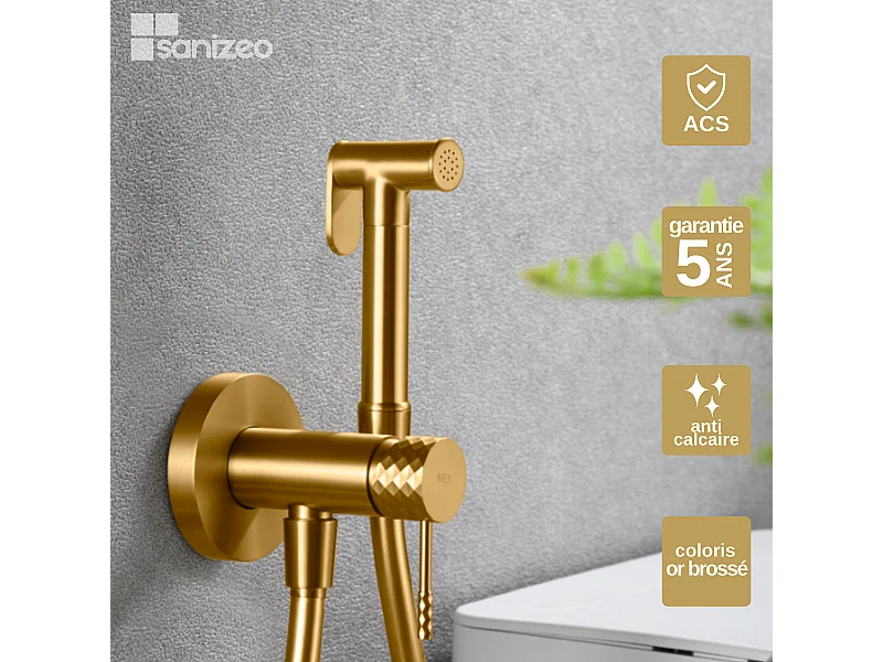 Kit Hygiène Douchette de WC / Bidet Encastré Or Brossé IMEX GENOVA RDG053/OC