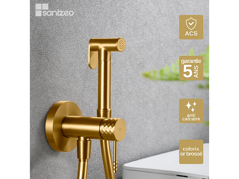 Kit Hygiène Douchette de WC / Bidet Encastré Or Brossé IMEX GENOVA RDG053/OC