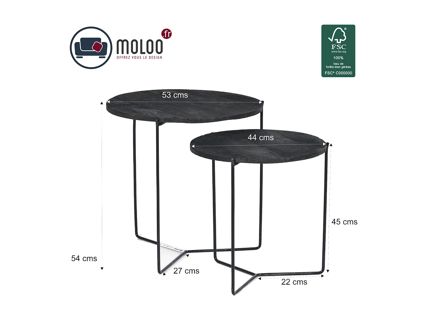 JULIA-Set de 2 Tables basses en bois noir