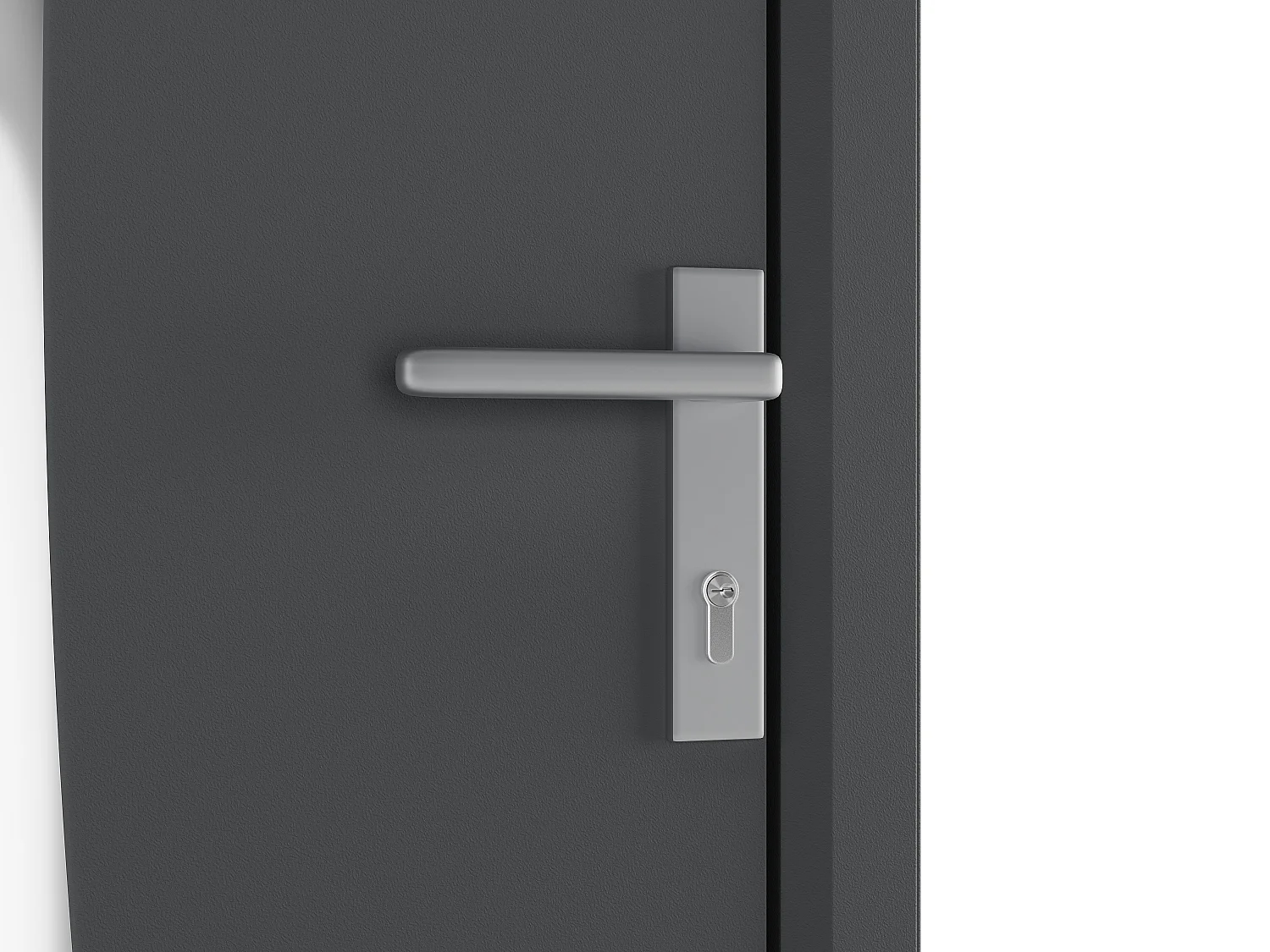 Porte d'entrée en aluminium H218 x L96 cm anthracite - poussant gauche - DATELO