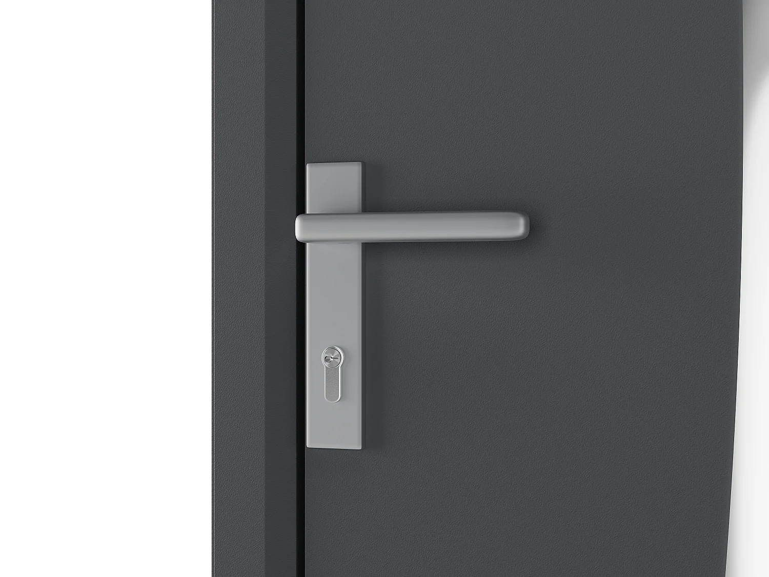 Porte d'entrée en aluminium H218 x L96 cm anthracite - poussant droit - DATELO