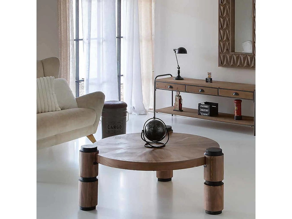 Globe terrestre rotatif avec anneau noir d15