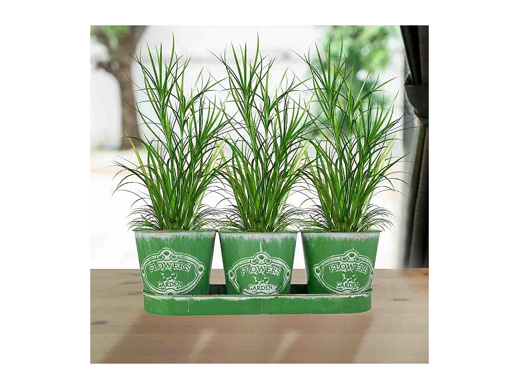 3 Cubos en métal et plateau verts