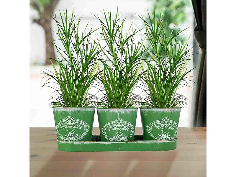 3 Cubos de metal y Bandeja verdes