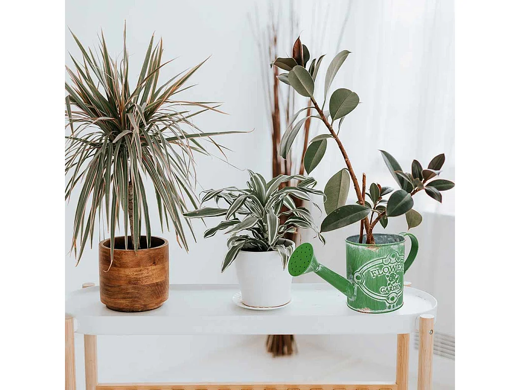 Arrosoir en métal vert 26.5xd10.5x12/13h