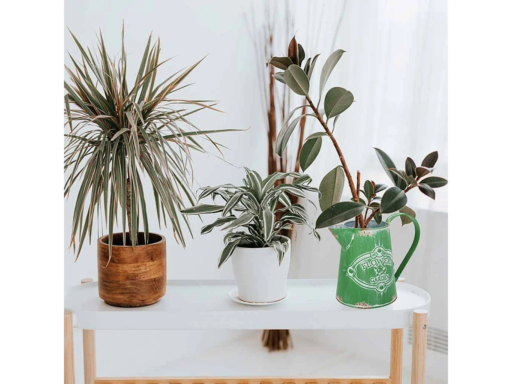 Brocca metallo verde 20,5xb13x15,5/17h td:9,5