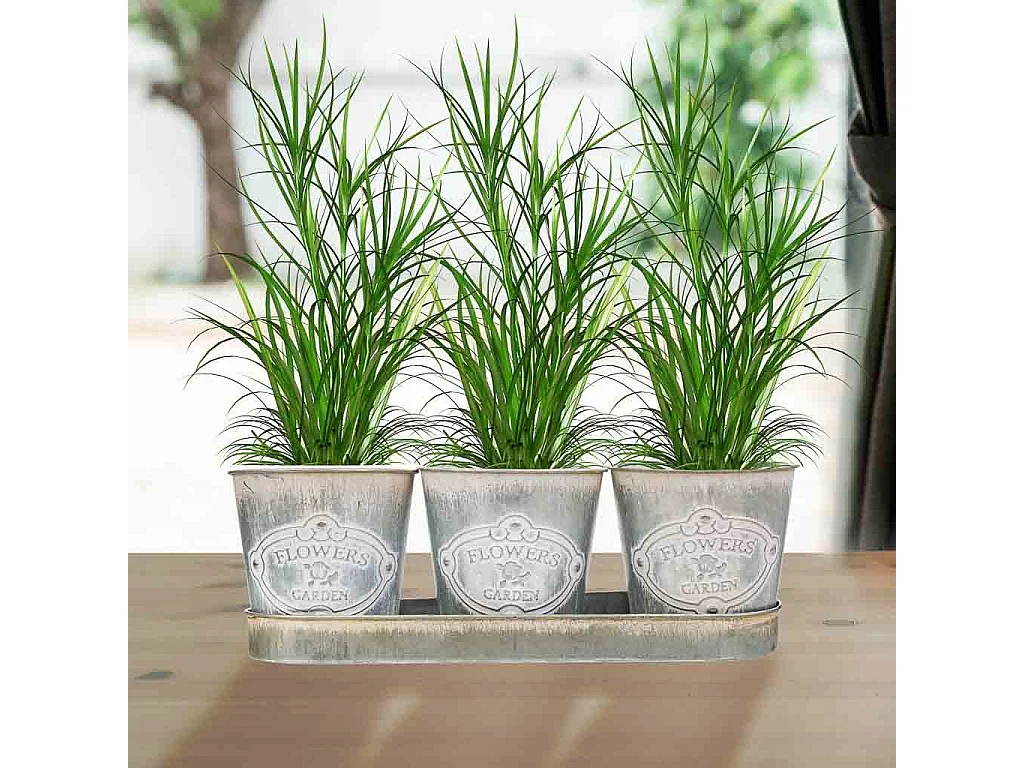 3 weiße Metallwürfel und Tablett