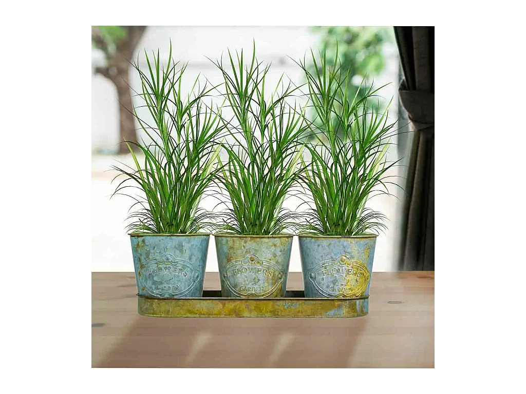 3 Cubos en métal et plateau tray verts
