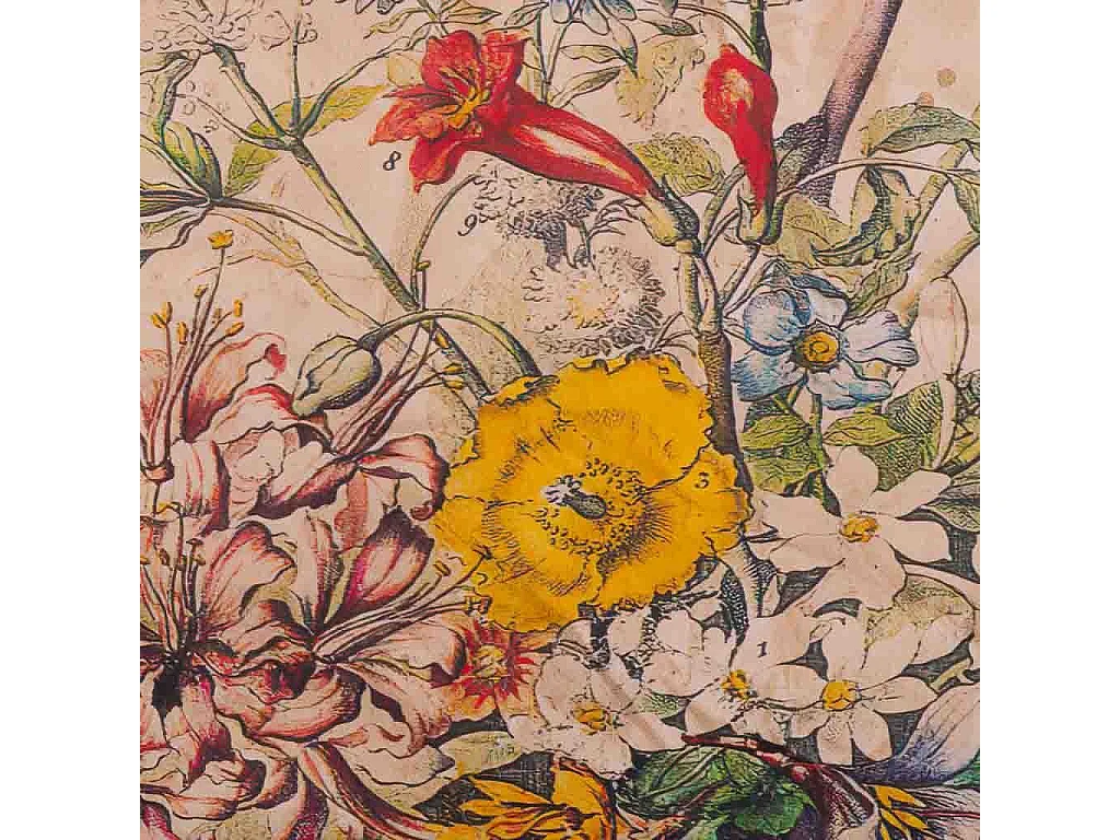 Lienzo pergamino de lino impreso 64x83x1,7h