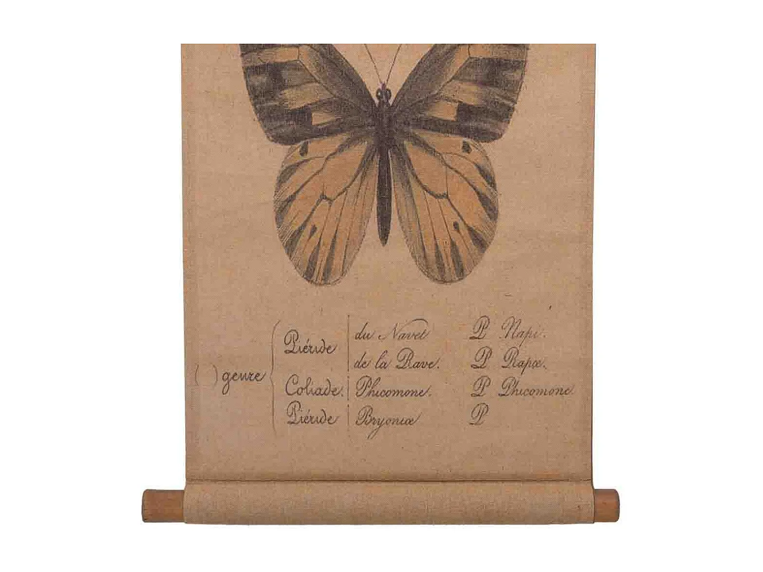 Lienzo pergamino de lino impreso 38x157x2,5