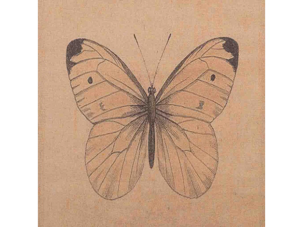 Lienzo pergamino de lino impreso 38x157x2,5h