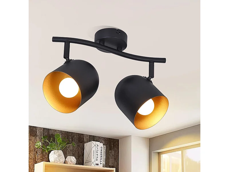 NETTLIFE Opbouwspot - E14 Fitting - Zwart Goud - 2-Lichts - Plafondspot - Metaal - Vintage Hallamp - voor Woonkamer | Slaafkamer | Gang | Keuken