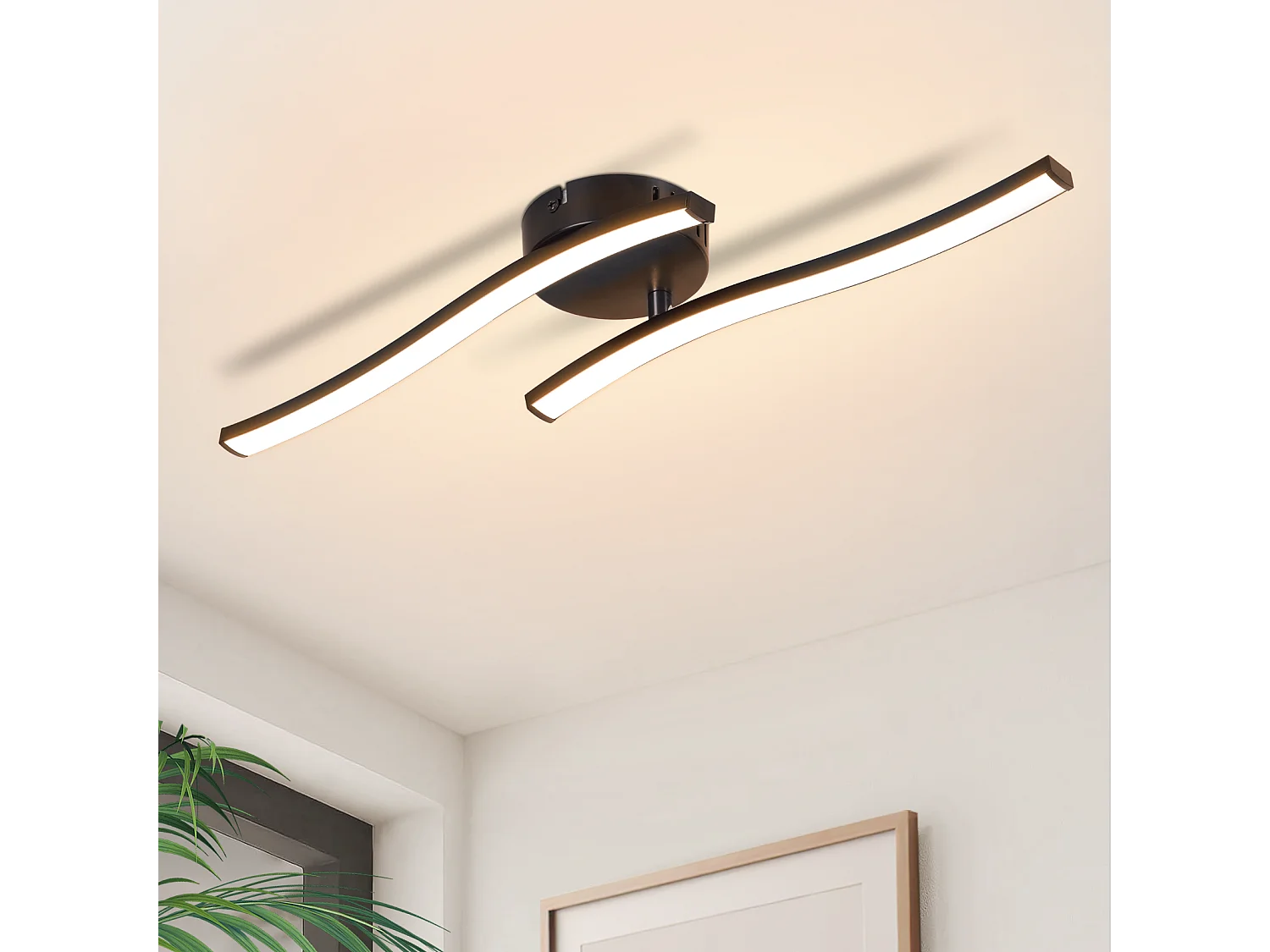 NETTLIFE Lámpara de techo LED para salón, dormitorio, moderna, negra, 12 W, 3000 K, blanco cálido, interior