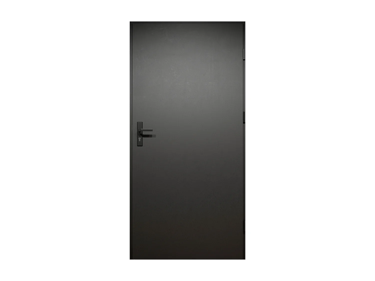 Porte d'entrée pleine en acier H207 x L100 cm - Anthracite avec rayures effet chêne - épaisseur 55 mm - poussant gauche - COBRITA