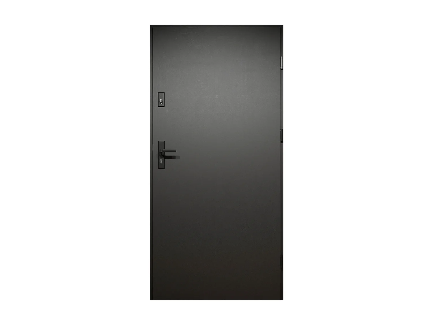Porte d'entrée pleine en acier H207 x L100 cm - Anthracite avec rayures effet chêne - épaisseur 55 mm - poussant gauche - COBRITA