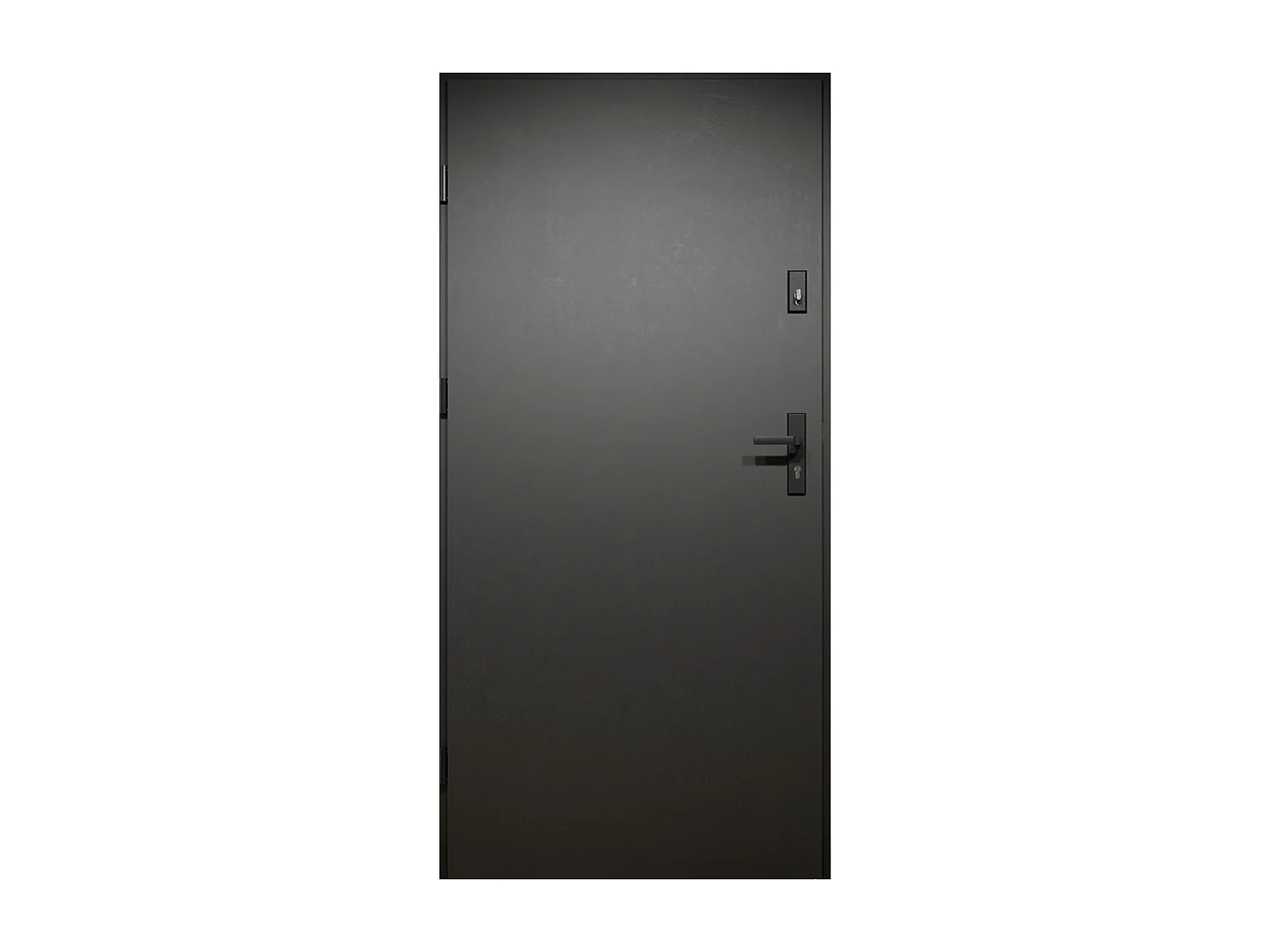 Porte d'entrée pleine en acier H207 x L100 cm - Anthracite avec rayures effet chêne - épaisseur 55 mm - poussant droit - COBRITA