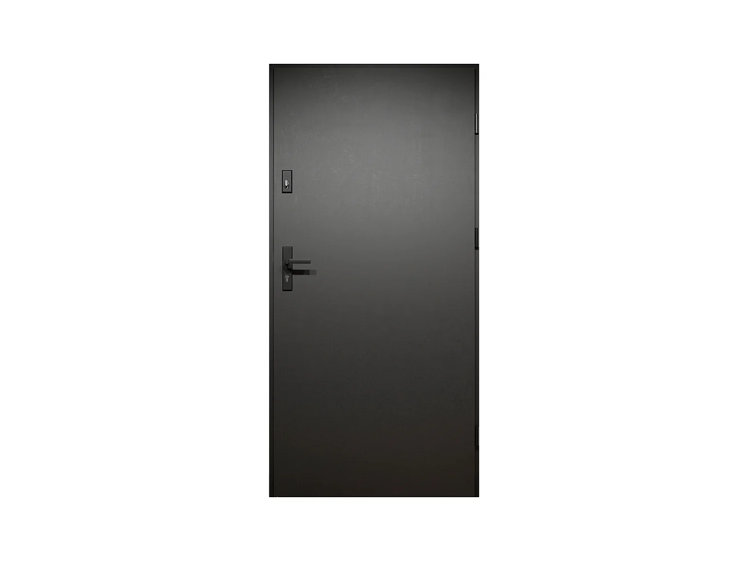 Porte d'entrée pleine en acier H207 x L100 cm - Noir et effet chêne - poussant gauche - MABENA