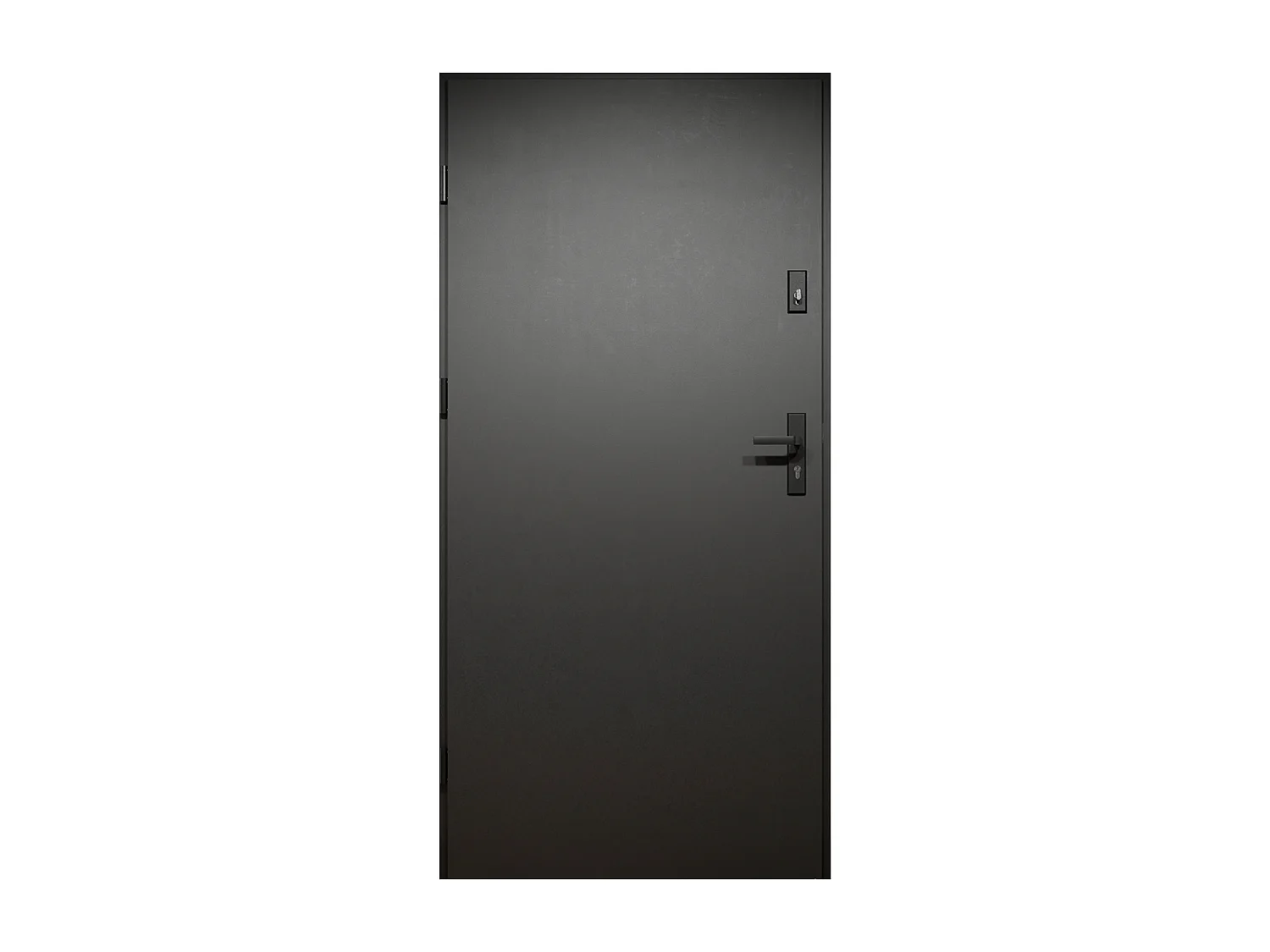 Porte d'entrée pleine en acier H207 x L100 cm - Noir et effet chêne - poussant droit - MABENA