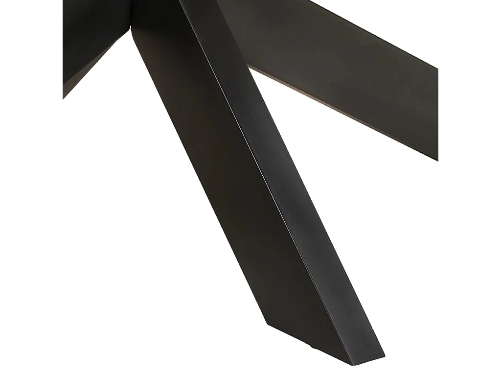 Table à manger ovale 200x100x75 cm Bois de manguier brut
