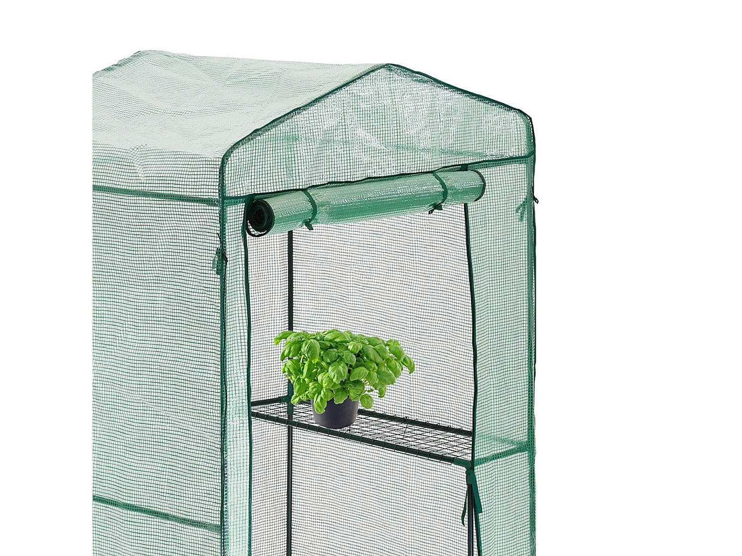 Serre en plastique HATTORO pour jardin, serre, maison pour tomates, verte et transparente
