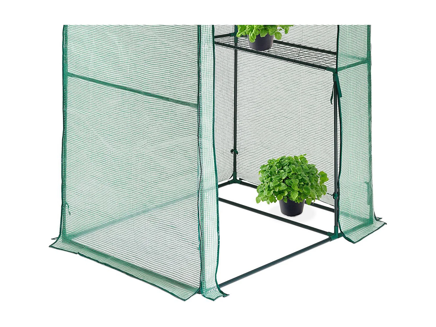 Serre en plastique HATTORO pour jardin, serre, maison pour tomates, verte et transparente