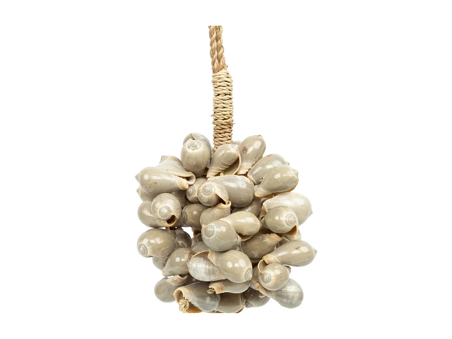 Le Pompon Coquillage Gris