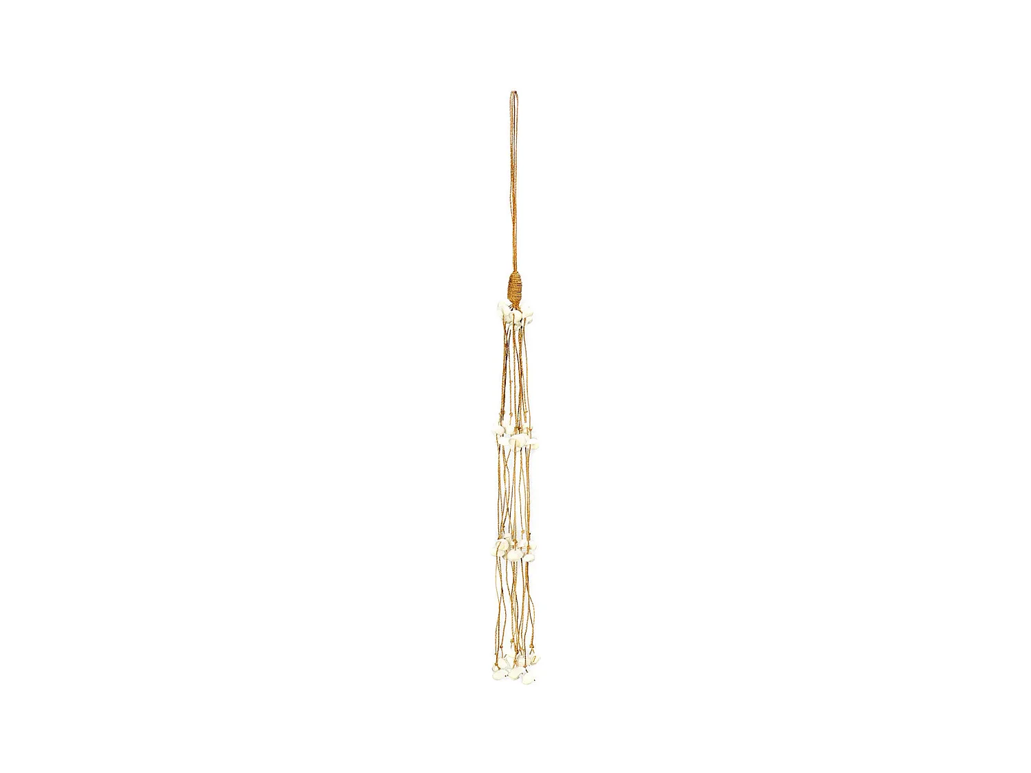 Le Long Shell Gland - Blanc