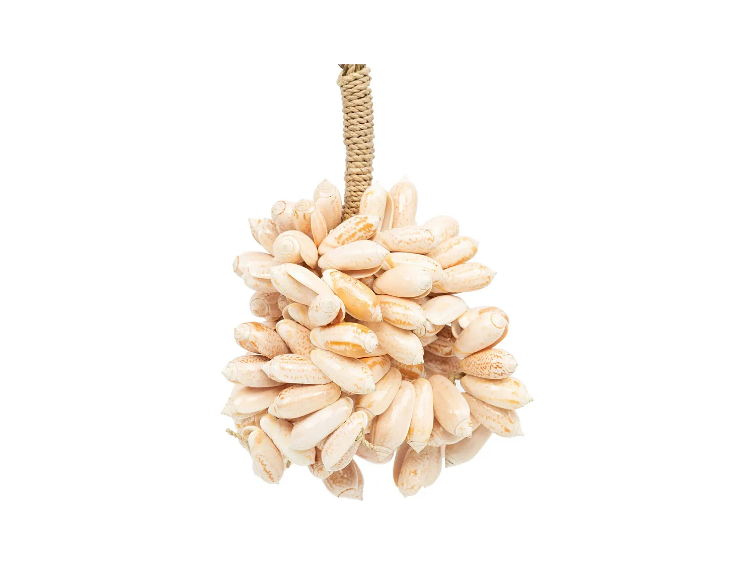 Le Pompon Coquillage Rose